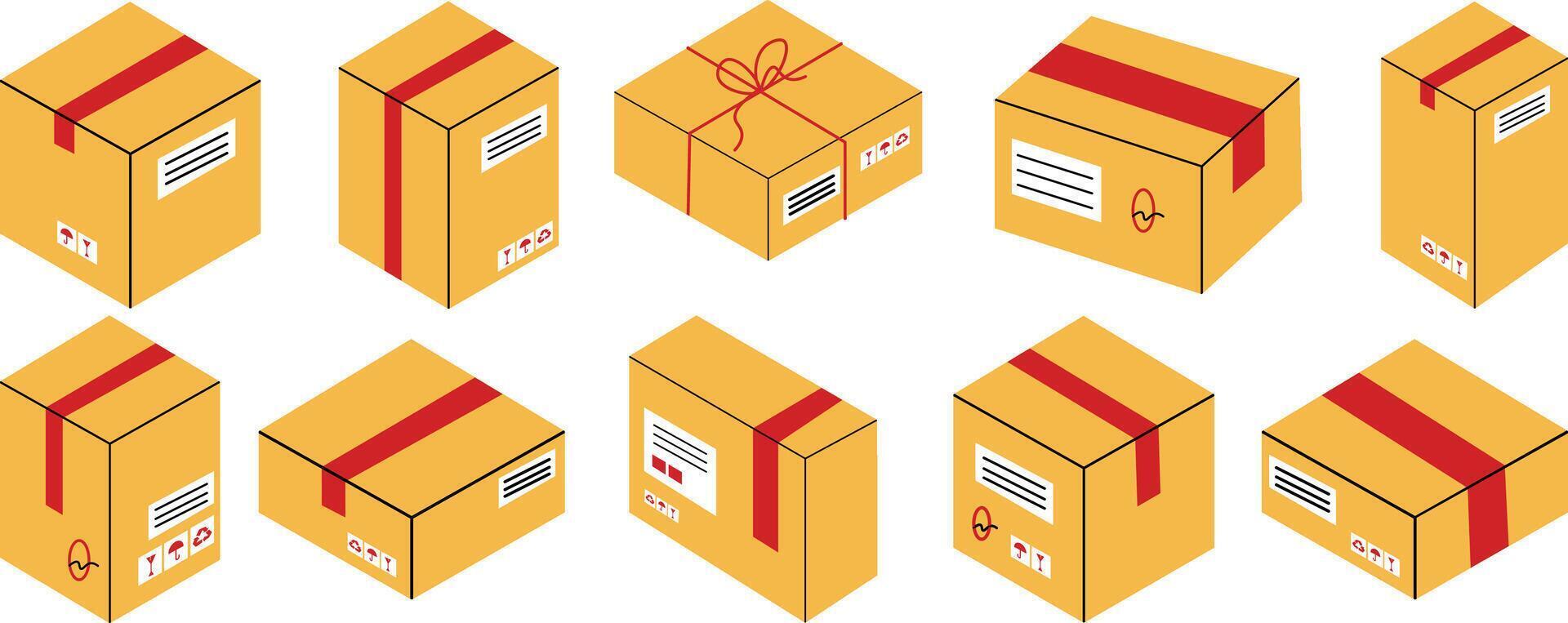 Collection Box Package vector