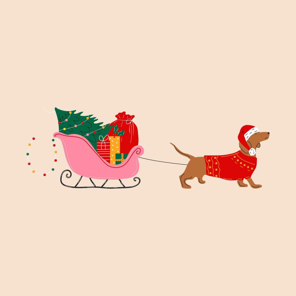 A dachshund pulls a sleigh with a Christmas tree and presents. Merry Christmas vector