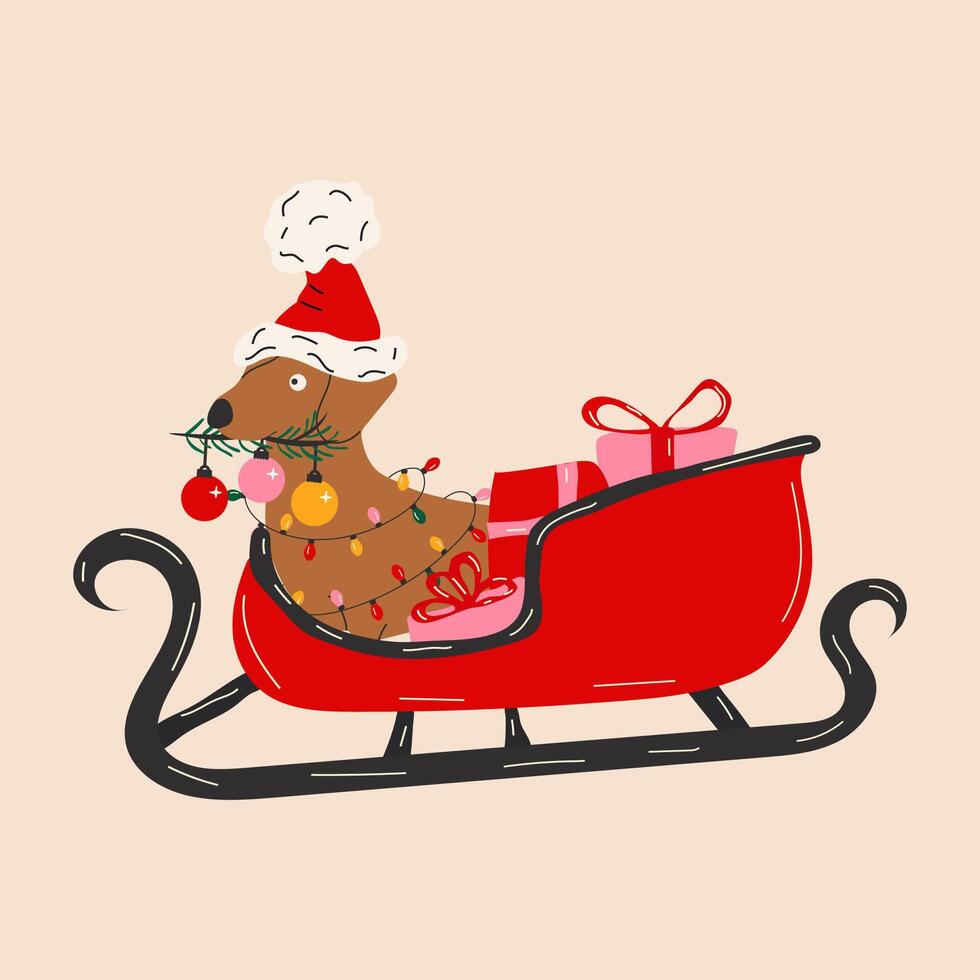 The dachshund rides in a sleigh with gifts. Merry Christmas vector