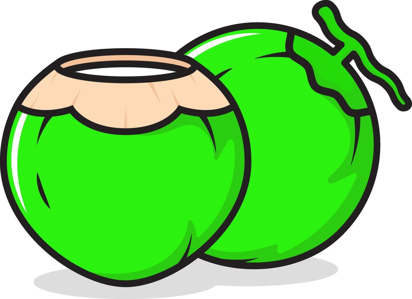 coconut clip art illustration vector