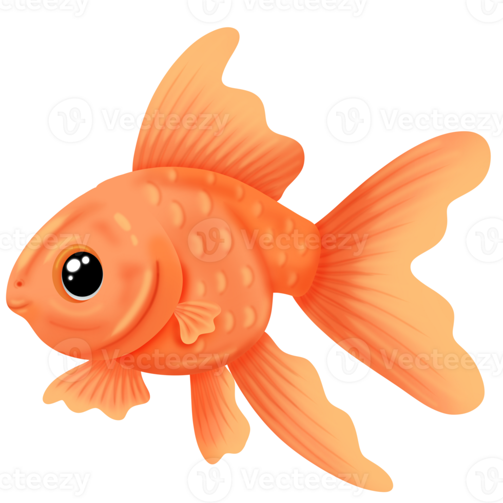 Goldfish drawing watercolor png