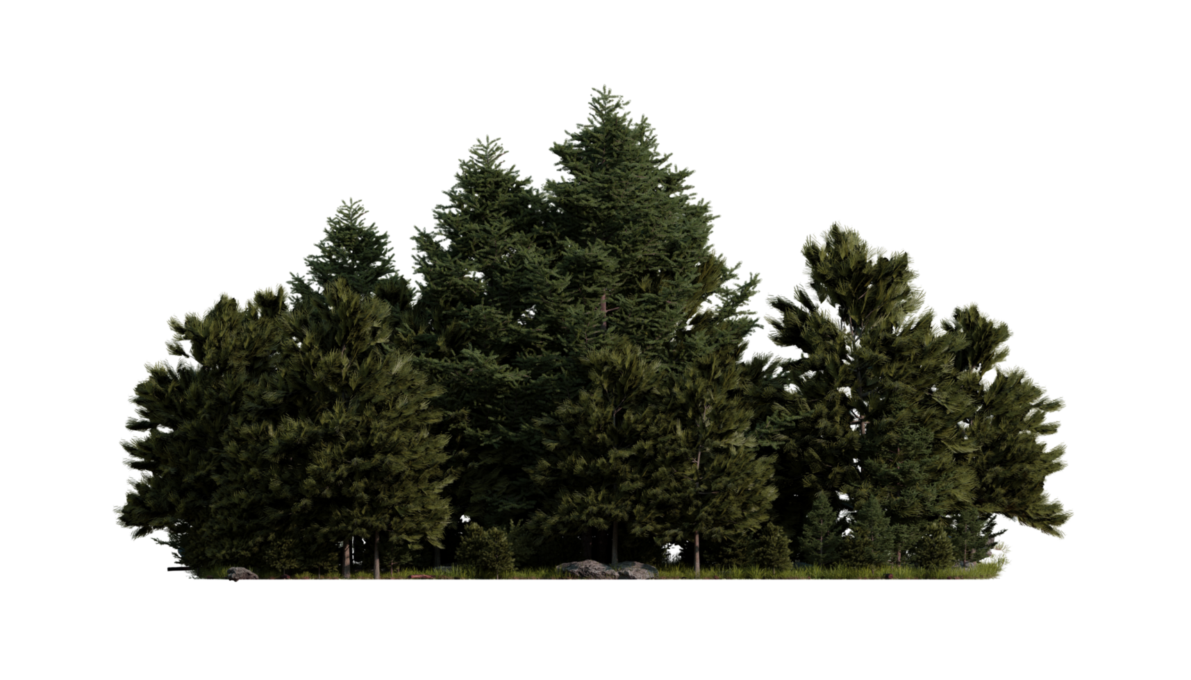 pine tree homogeneous transparent ortographic shot background png