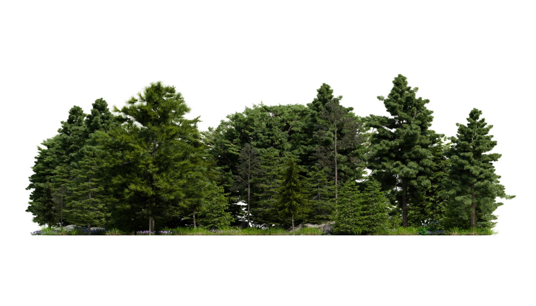thick forest tree transparent background, 3d render flat ground view png