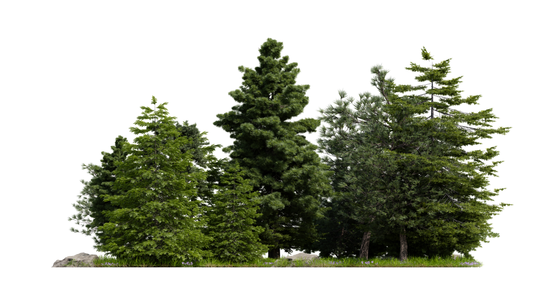 large tree botany with transparent background png