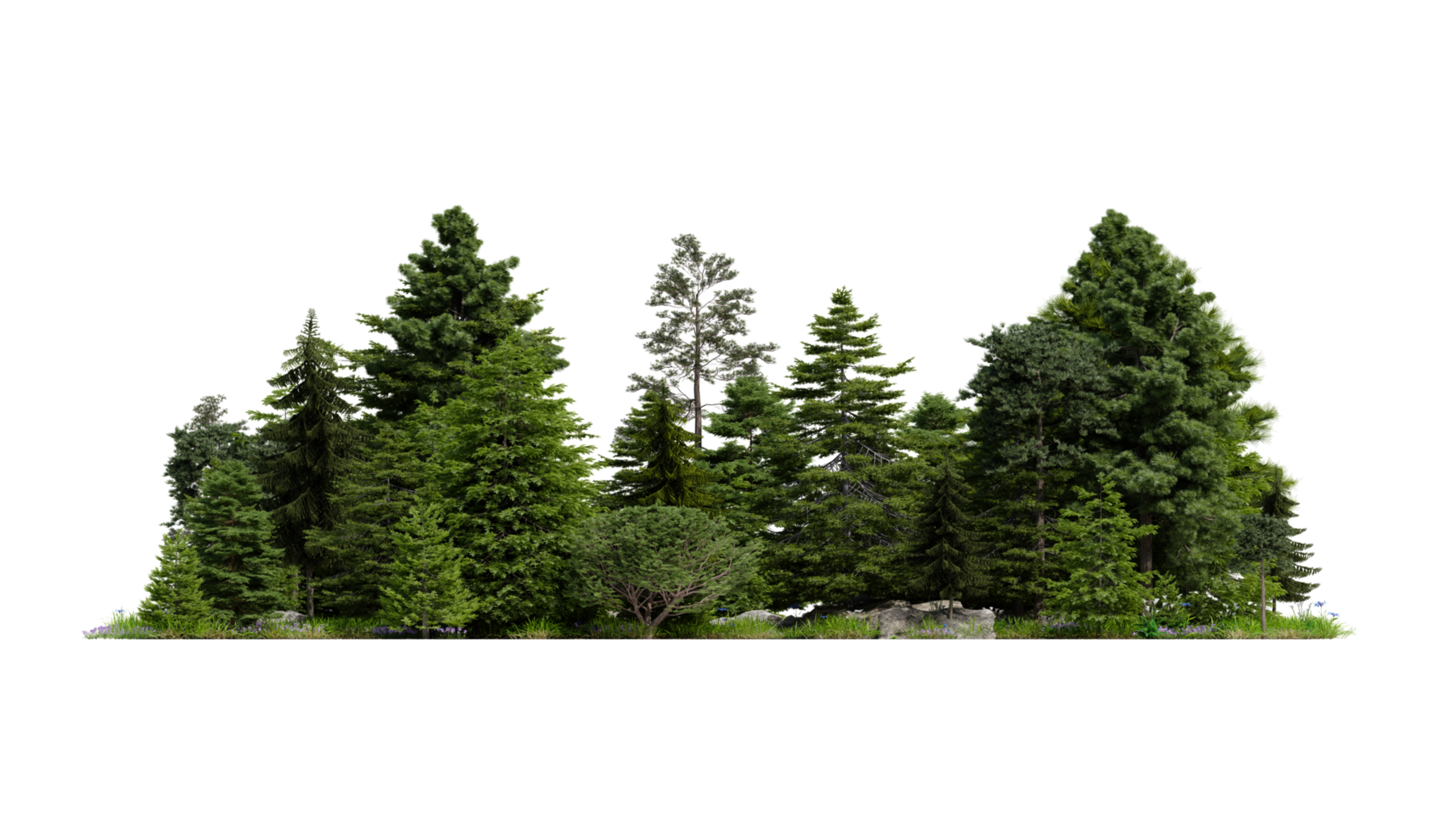 multiple green leaves tree, nature transparent background png
