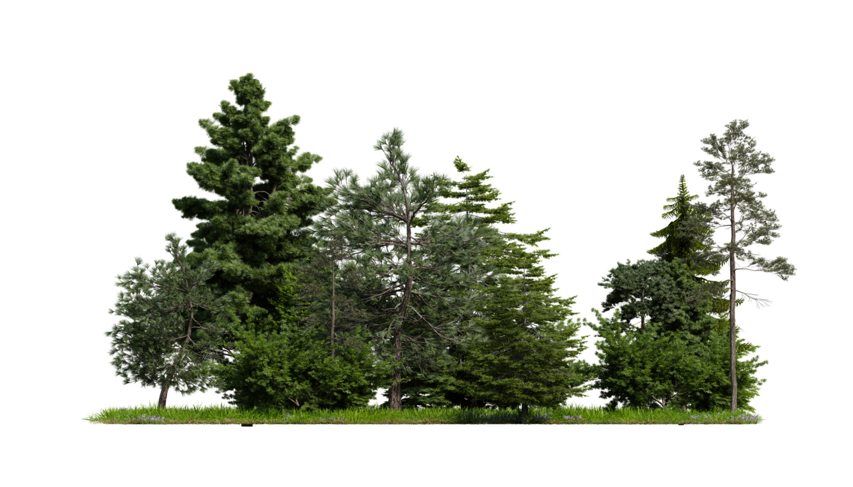 flat ground wide shot of tree environment, transparent background png