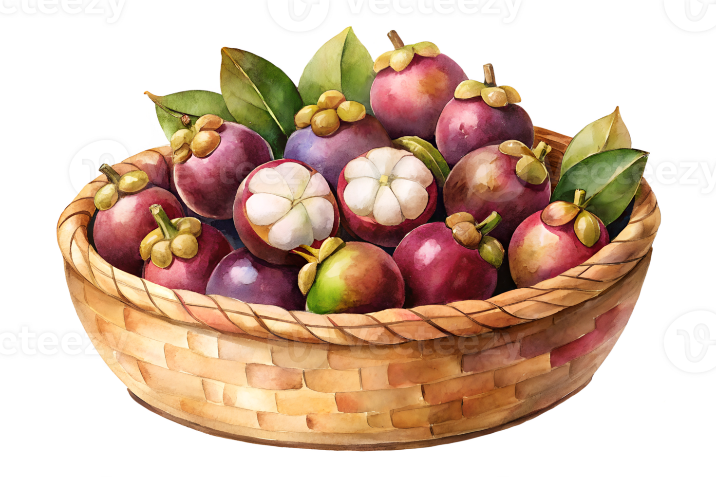Watercolor hand drawn Lots of mangosteen in a basket isolate on transparency background png