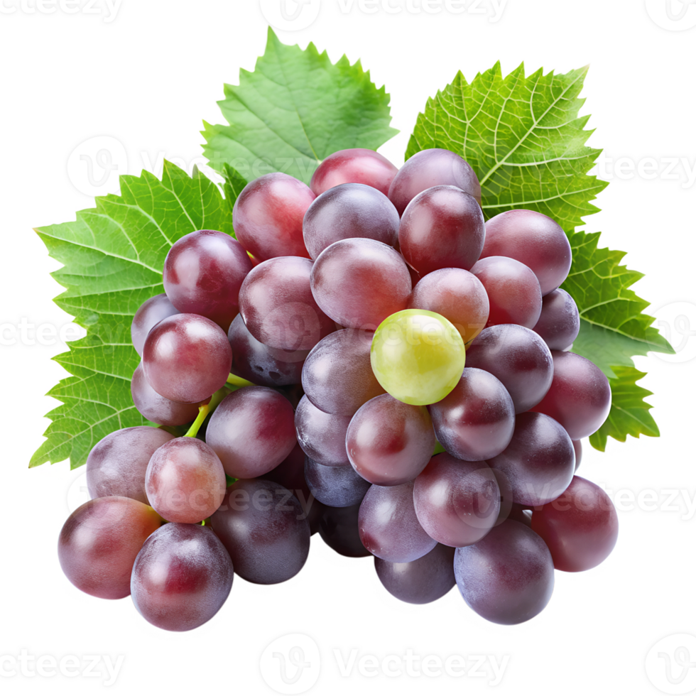 grape isolate on transparency background png