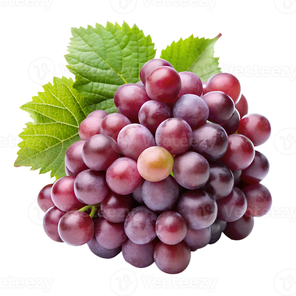 grape isolate on transparency background png