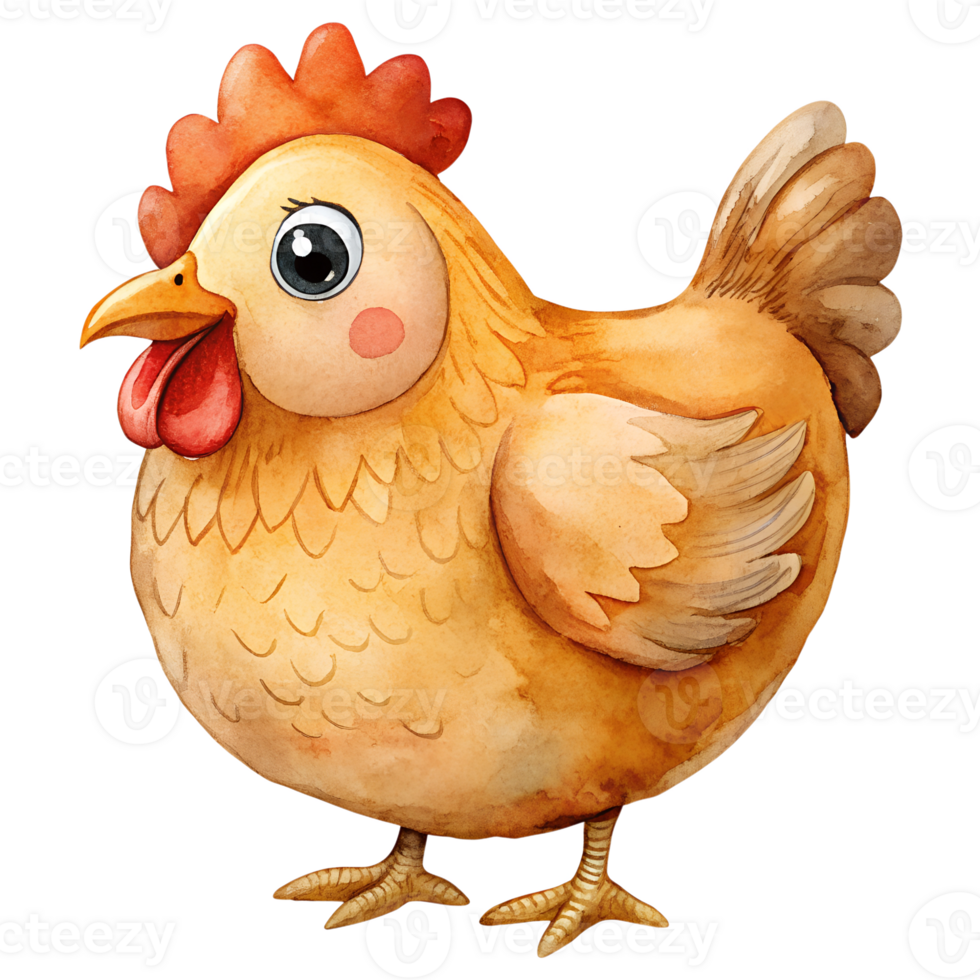 Watercolor hand drawn chicken isolate on transparency background png