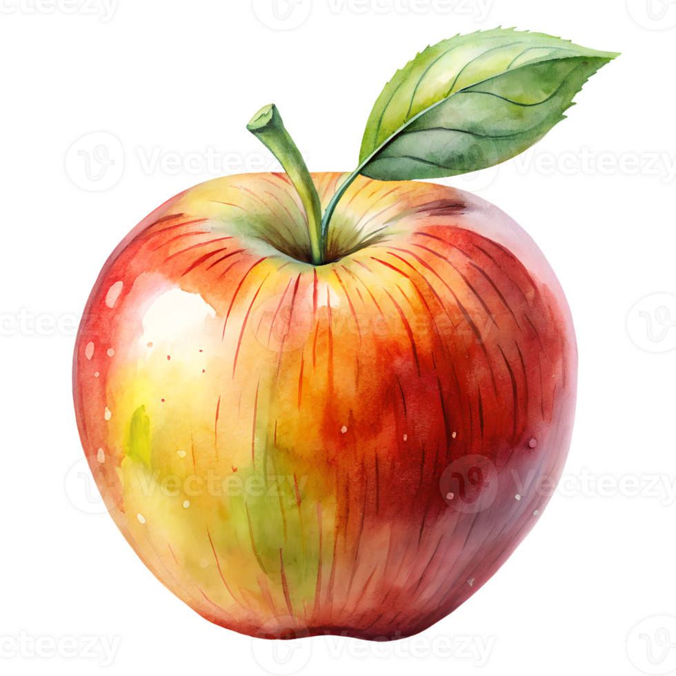 Watercolor hand drawn apple isolate on transparency background png
