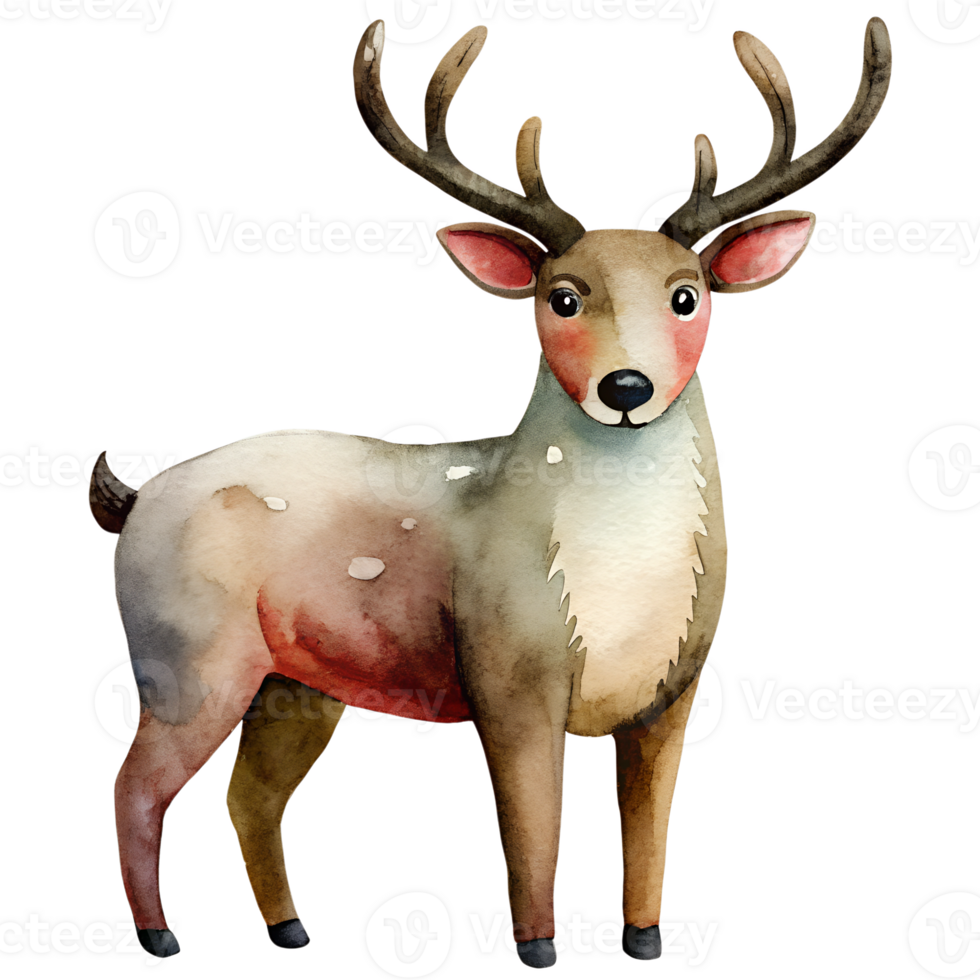 Watercolor hand drawn Reindeer. png
