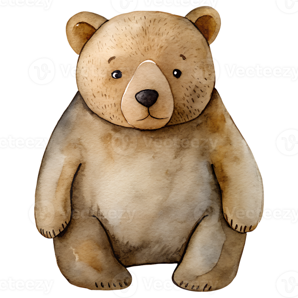 watercolor hand drawn bear. png