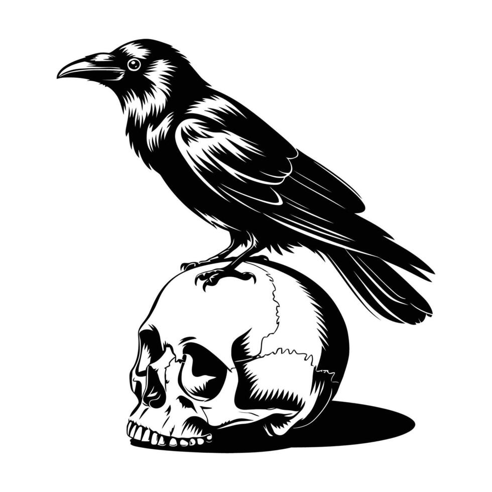 Raven perched on skull black and white illustration vector