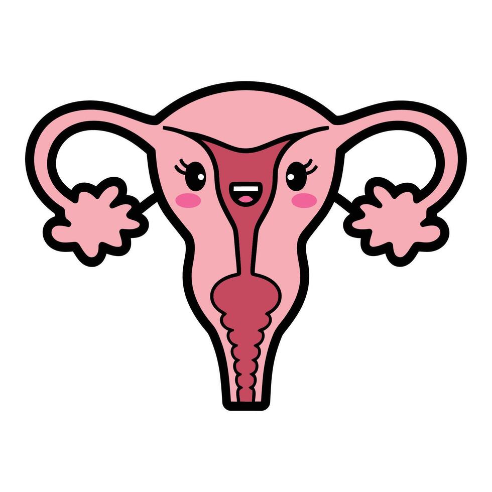 Cute Uterus Kawaii Cartoon Illustration vector