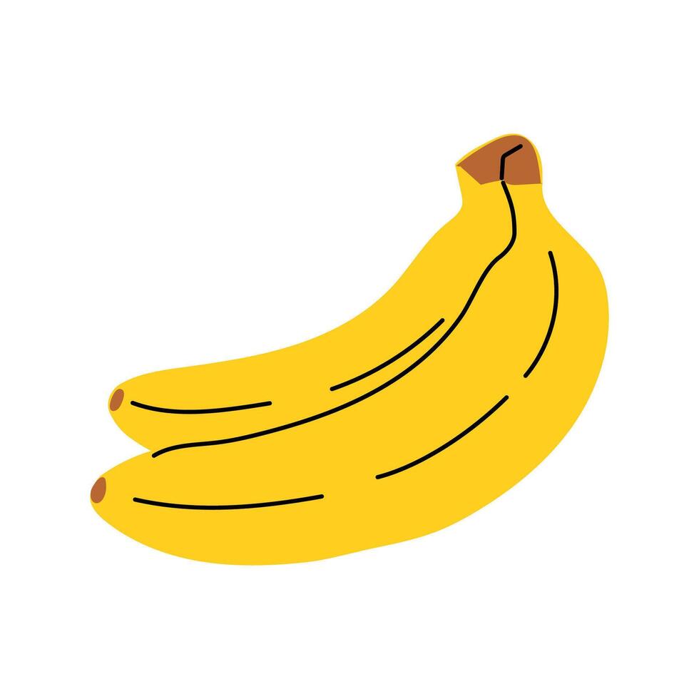 Two ripe bananas on a white background showcasing their vibrant yellow color and shape vector