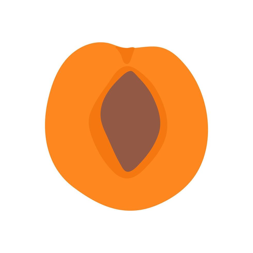 Bright orange apricot cut in half, showcasing a smooth interior and a central pit vector