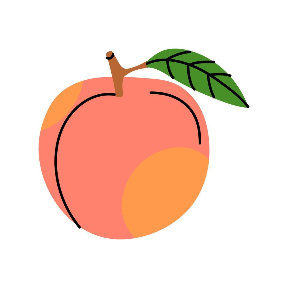 A colorful illustration of a peach with a leaf on a white background vector