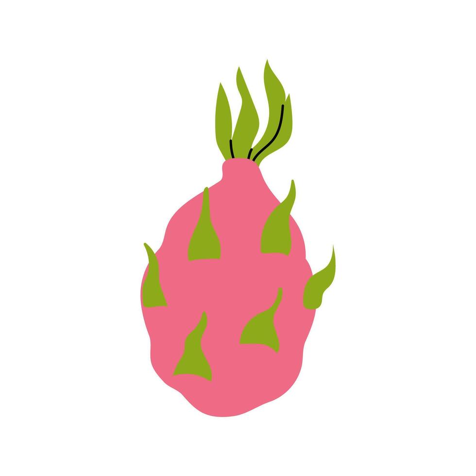 Distinctive pink dragon fruit with vibrant green spines on a plain background vector