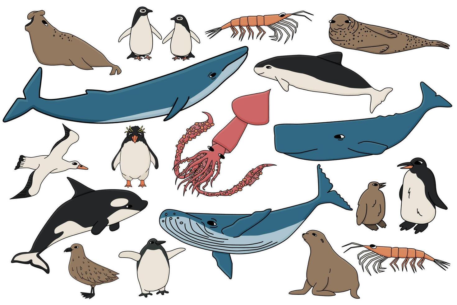 set of colorful animals in Antarctica. Hand drawn outline collection of whales, penguins, skua, krill, seals, porpoise. vector