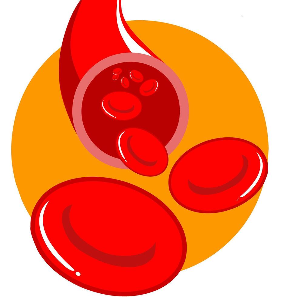 Blood vessel with erythrocytes red blood cell flowing in it. Perfect for health explanation. vector