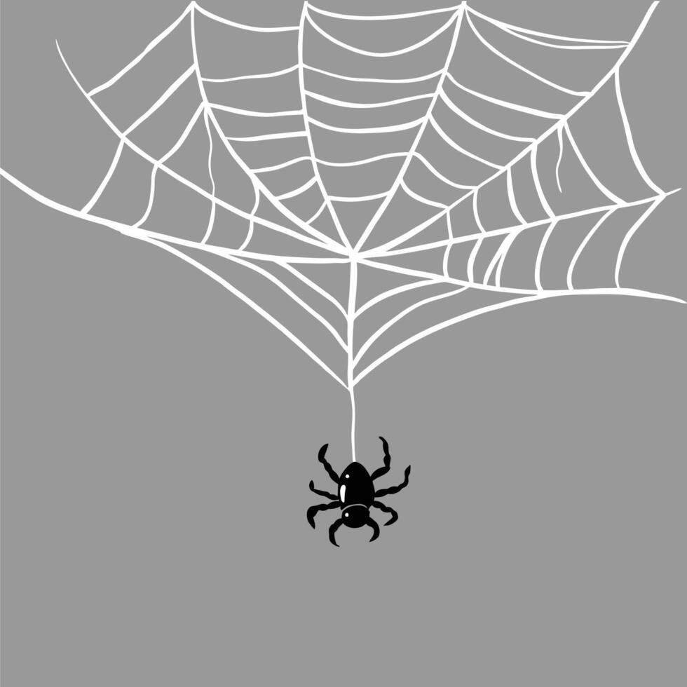 Spider on web illustration vector