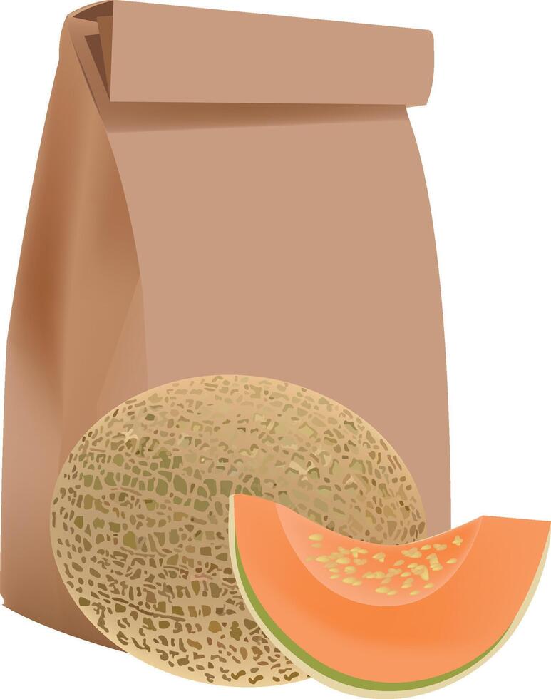 Ripe cantaloupe melon and slice leaning on brown paper bag vector