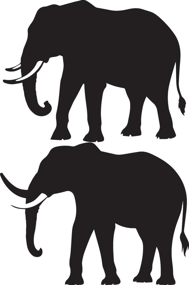 Elephant silhouettes on white background vector