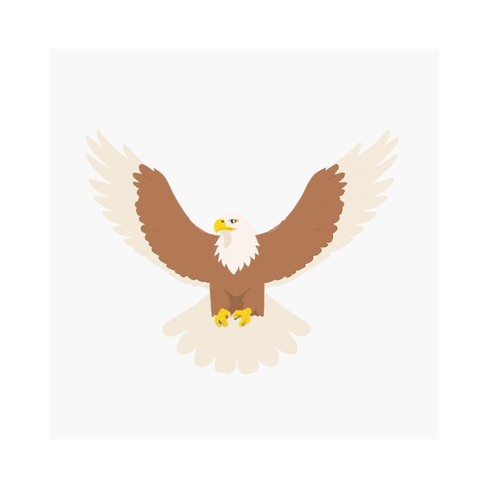 Eagle Bird Predator Wildlife Freedom vector