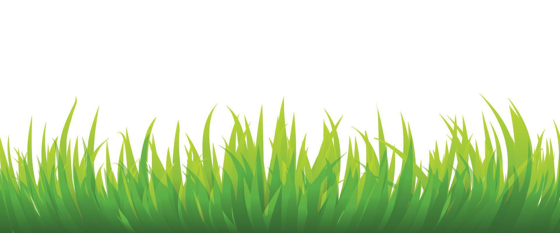 illustration of lush green grass isolated on a white background vector