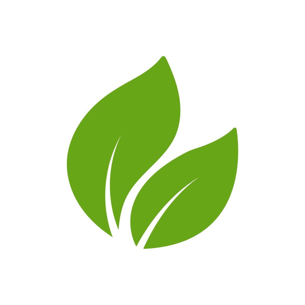 Green leaf ecology nature element vector