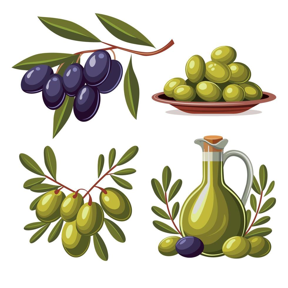 A set of four olive-themed illustrations. A branch of black olives, green olives, a plate of olives, and olive oil. vector