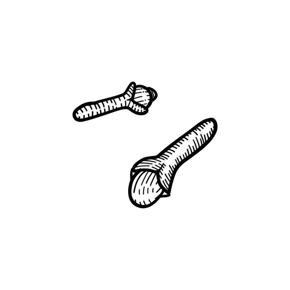 Detailed black and white hand-drawn illustration of a clove spice seed, symbolizing nature, cooking, autumn, and eco-conscious design, ideal for seasonal or botanical projects vector