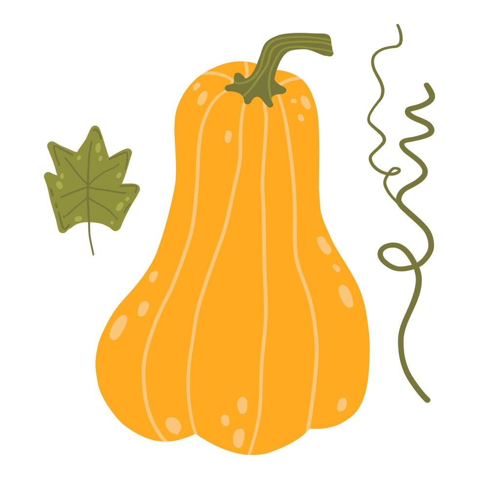 An orange pumpkin with green vine details, symbolizing fall, harvest, and Thanksgiving. Perfect for autumn-themed designs, Halloween decor, and seasonal food graphics vector