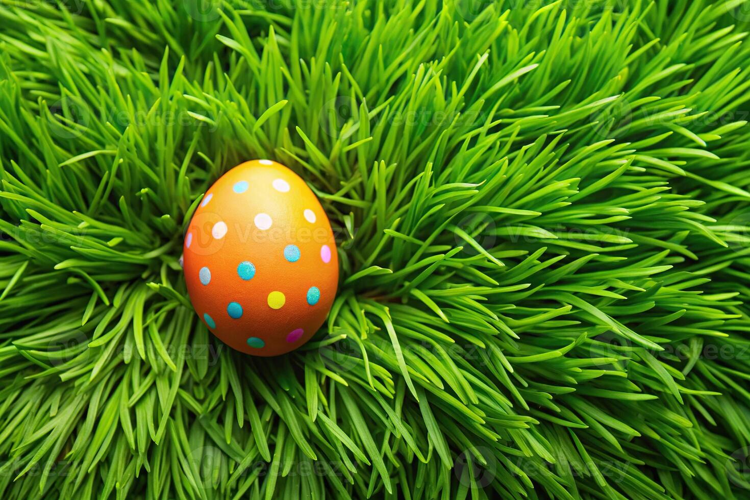 Easter egg wallpaper with a lush green grass Aerial photo