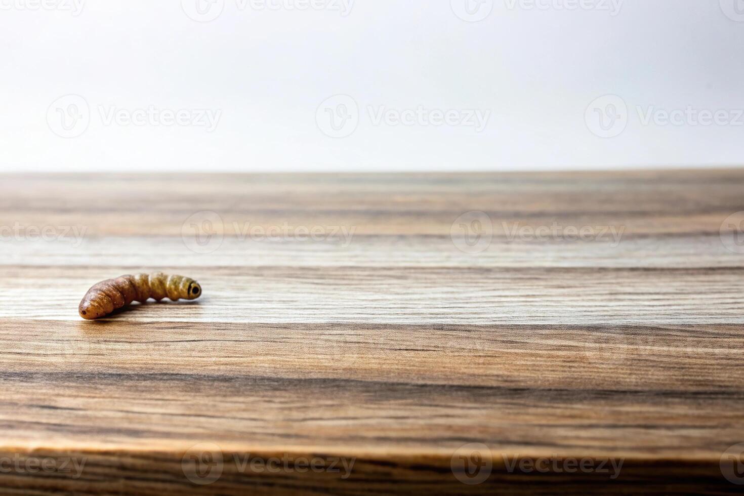 Elegant and natural image of white background and wood brown photo