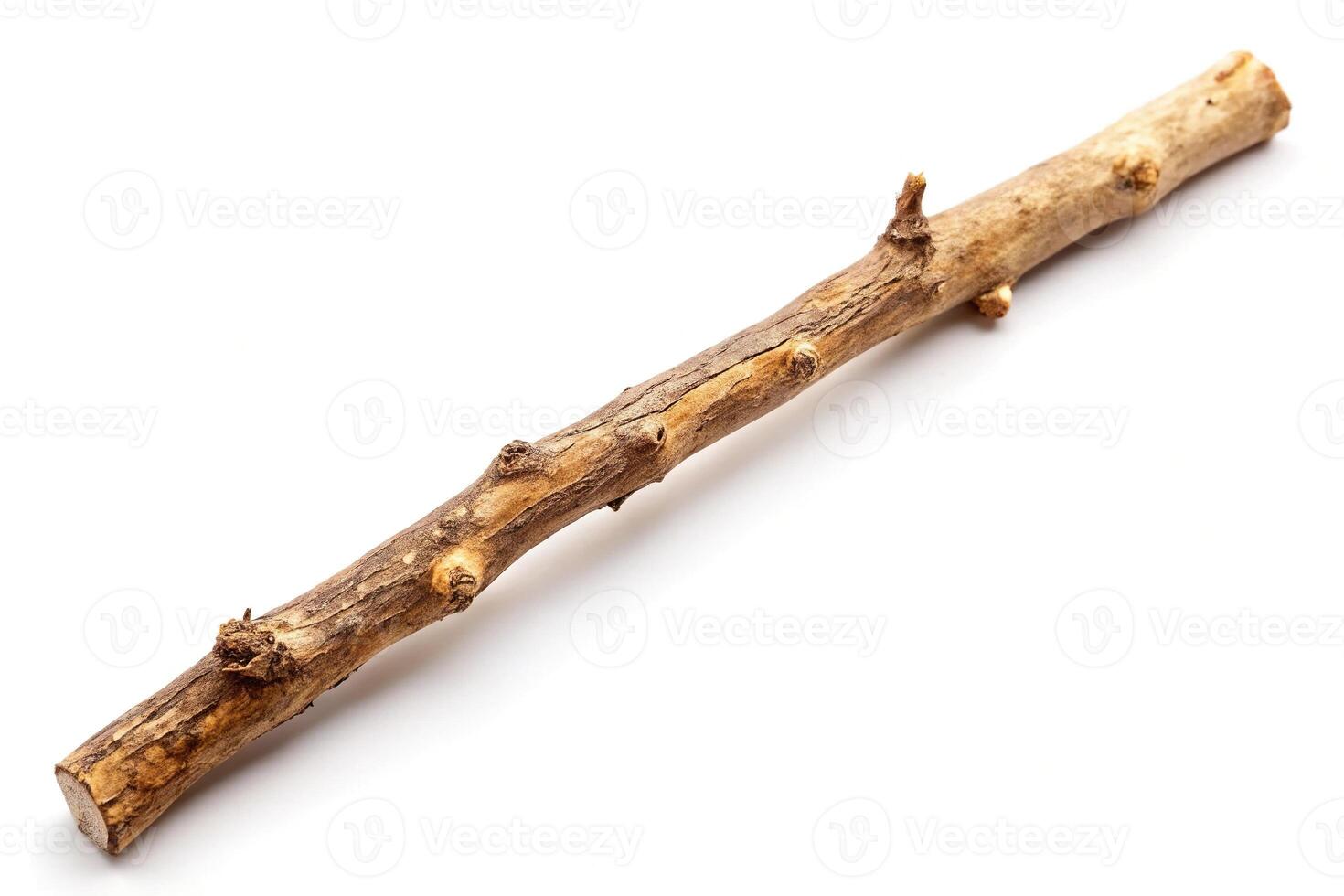 Panoramic wooden stick branch isolated on white background photo