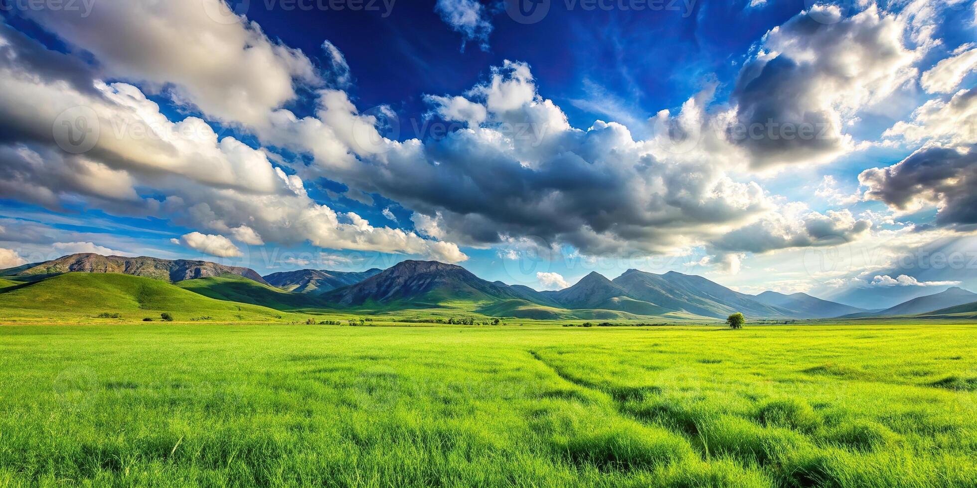 Panoramic natural landscape with green grass field, blue sky with clouds, and mountains in background Depth of Field photo