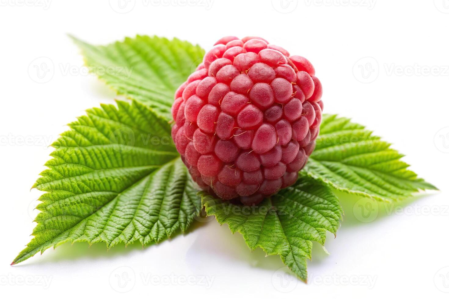 Raspberry fruit with leaves isolated on white background photo