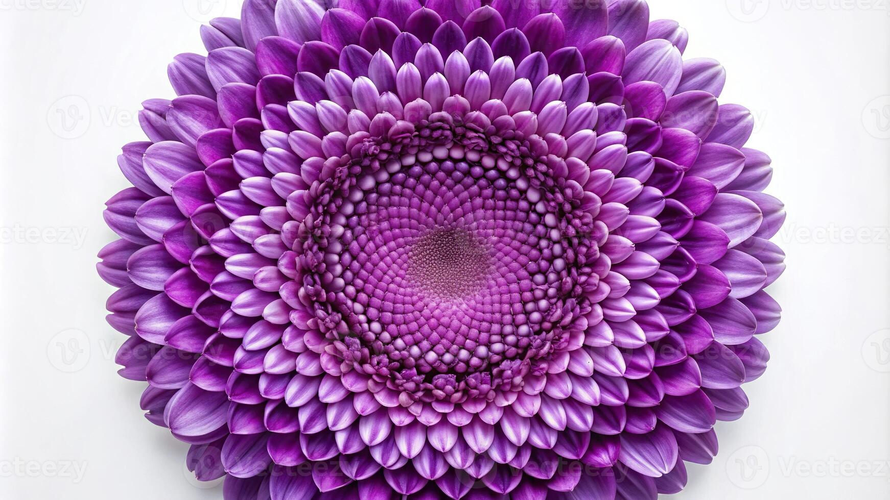 Round shape pattern with a natural purple flower High Angle photo