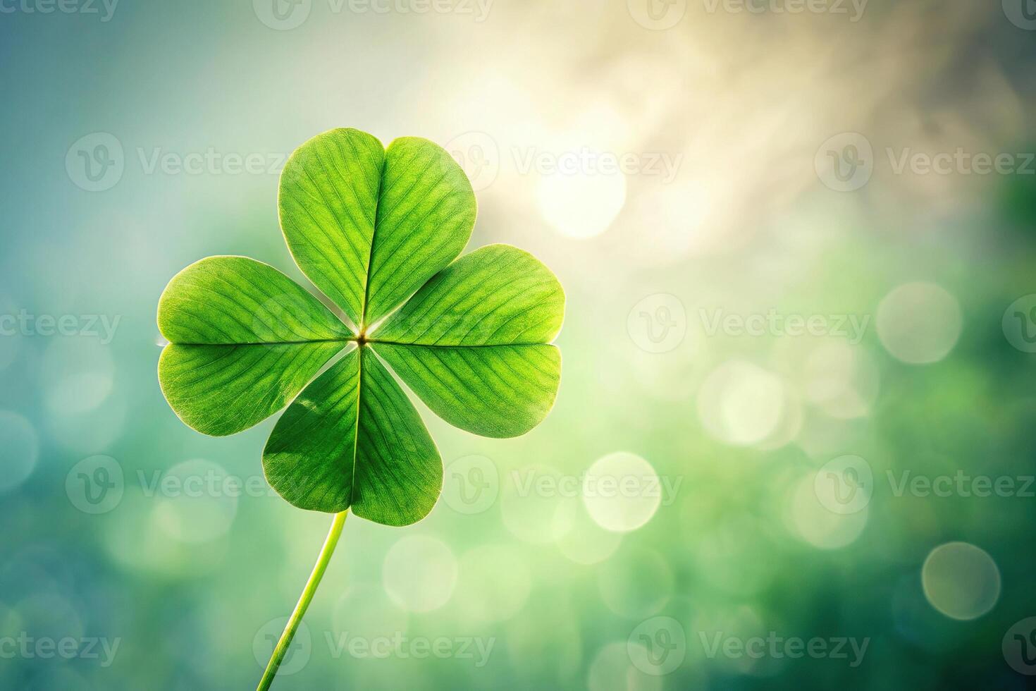 Photograph of a clover leaf from a worm's eye view photo