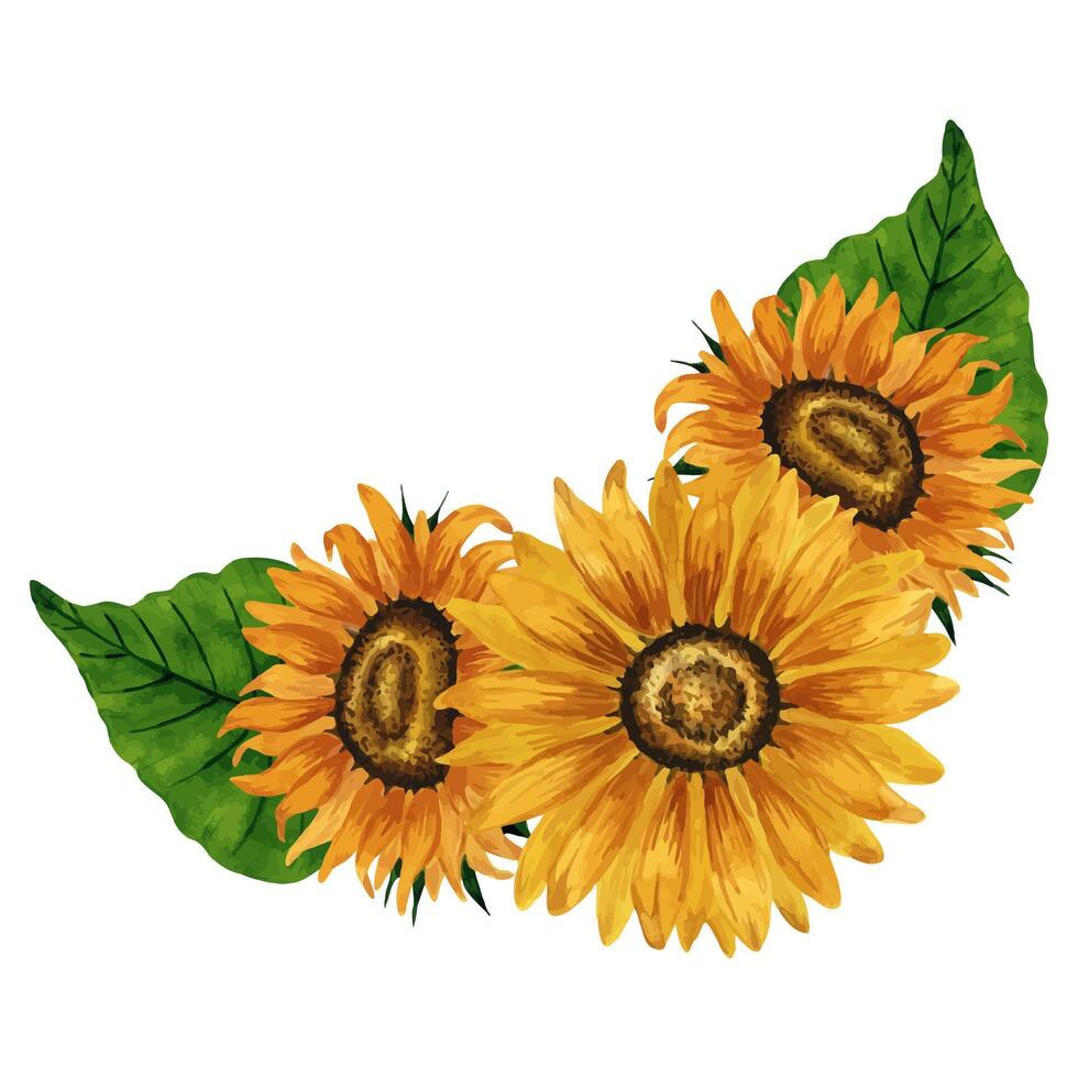 Watercolor sunflowers bouquet, floral composition, yellow flowers arrangement. Hand drawn botanical illustration. Summer flowers drawing. Autumn flowers for postcard, logo, background, pattern. vector