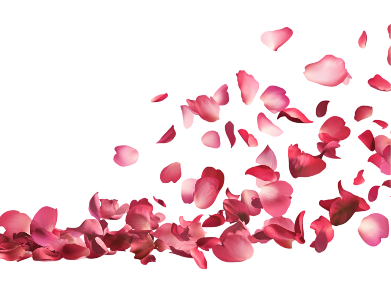 Hyperrealistic Pink and Red Petals Floating Gracefully with Sunlight on Transparent Background png