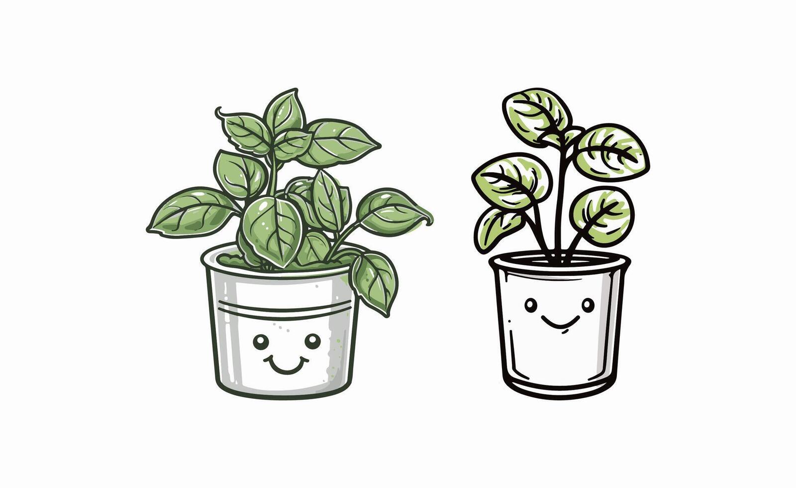 basil plant in a recycled tin vector