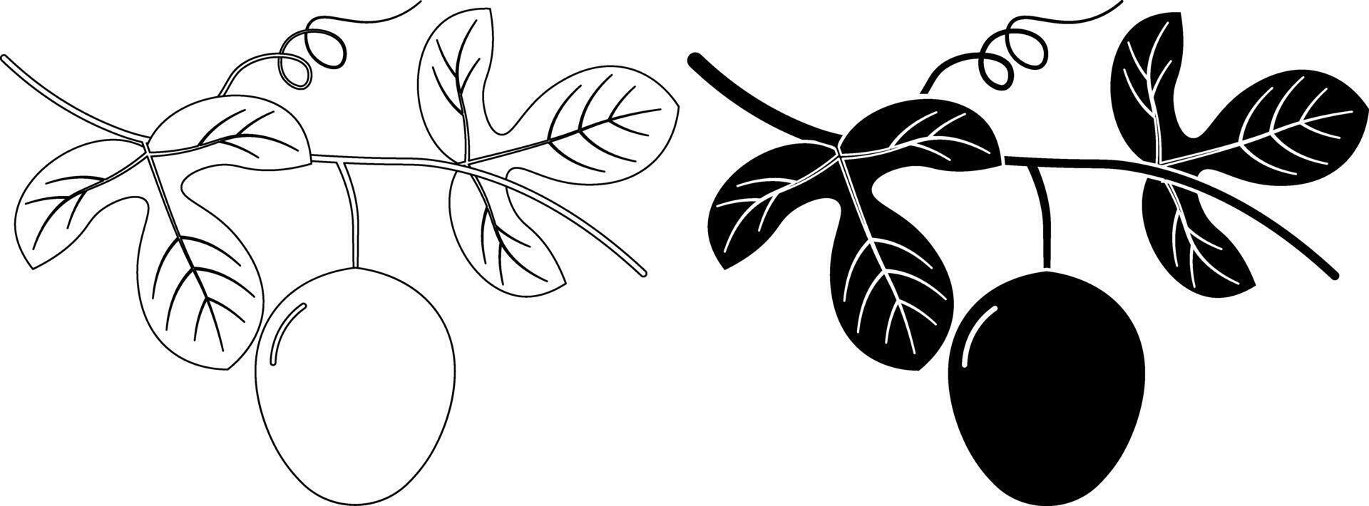 outline silhouette passion fruit with leaves icon set vector