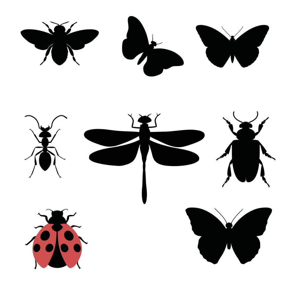 Insect Silhouettes set vector