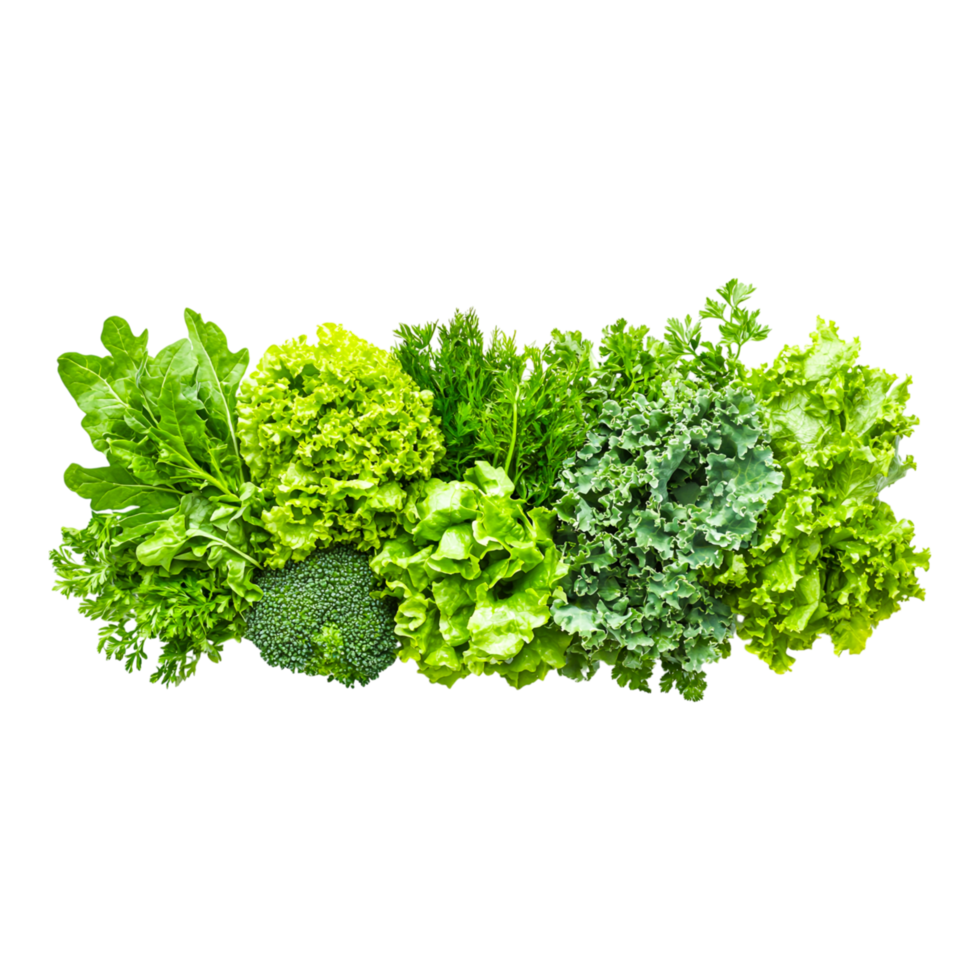 Fresh Green Vegetables for Healthy Diets png