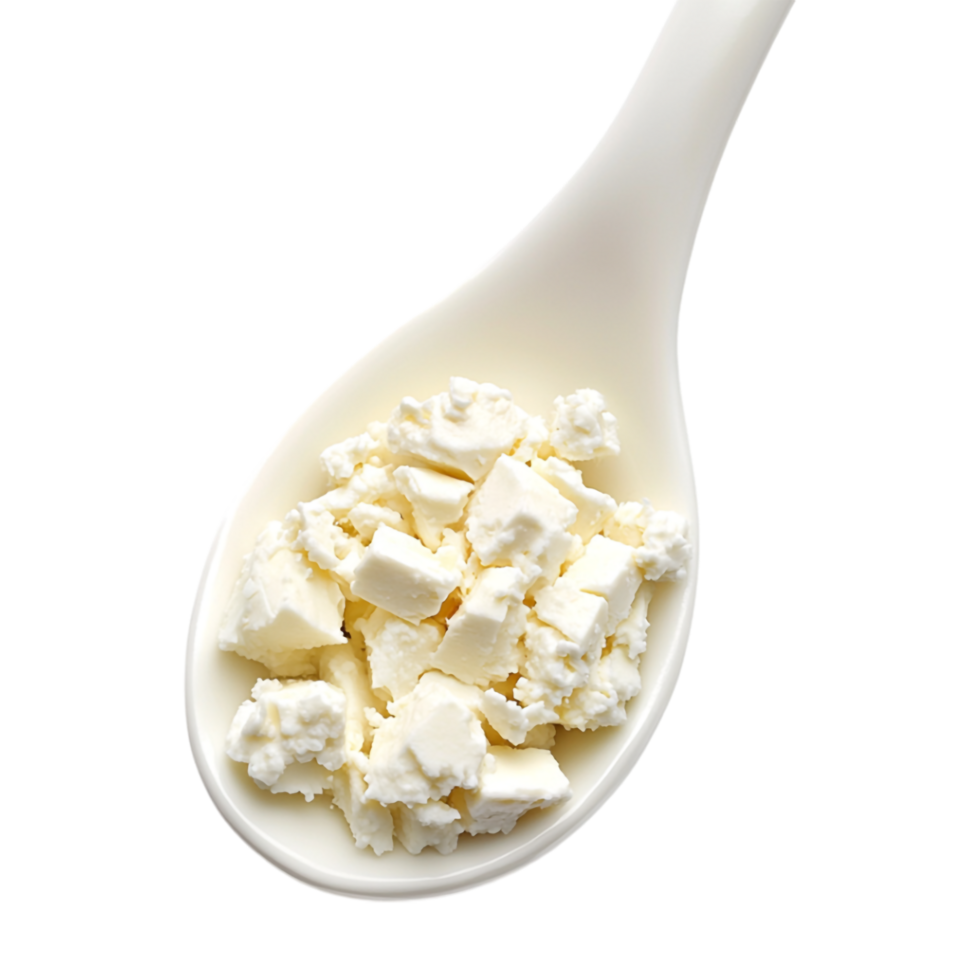 A spoon full of cottage cheese png