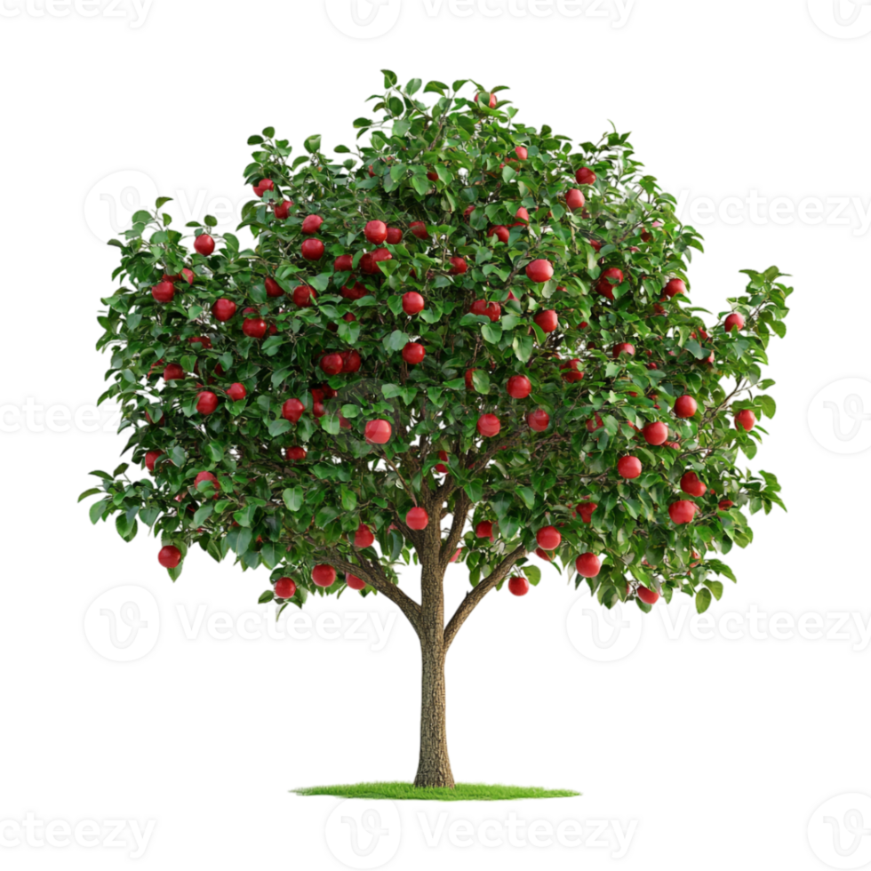 a maçã árvore com vermelho maçãs em isto png