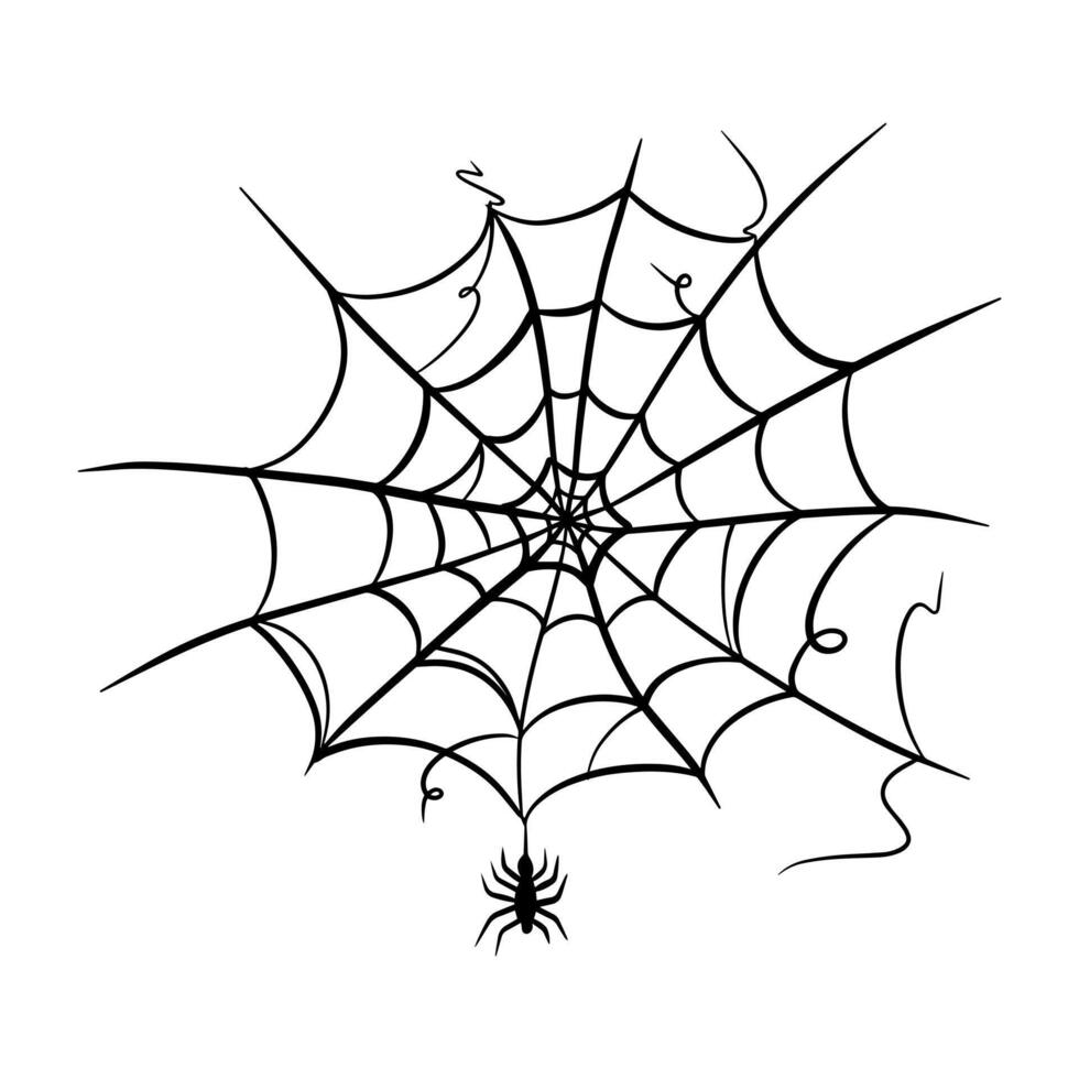 a hand drawn spider web, design element, decor. vector
